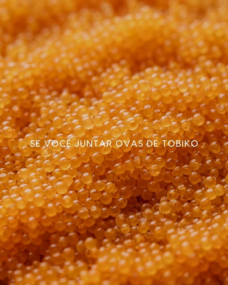 Prato do JU Omakase